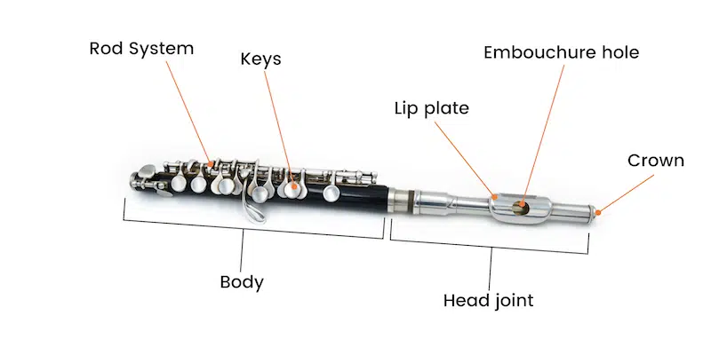 parts of a piccolo.png