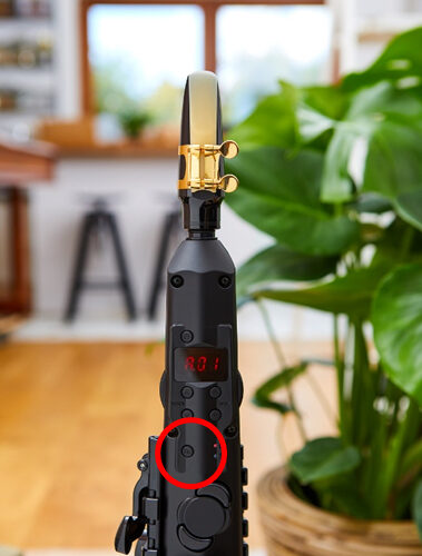 Yamaha Digital Saxophone YDS 150 image005